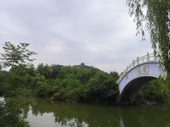 -禹州森林植物园