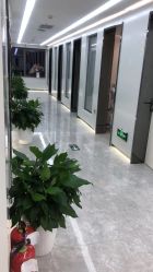 -悟空祛痘·诺奖技术专业店