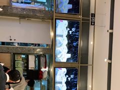 -船歌·鱼水饺青岛菜(国贸商城店)