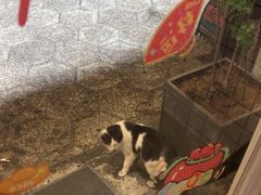 -烎记烧烤(蓝天花园店)