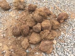 -大象粑粑造纸公园