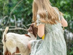 -合肥滨湖国家森林公园