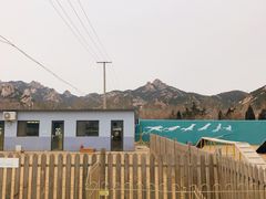 -趣玩宠物乐园寄养训犬训狗游泳池