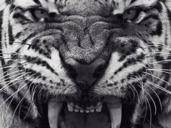 iphone_upload_pic-莫泰酒店(上海市北工业园区江场西路店)