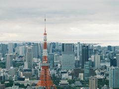 -六本木新城展望台(东京城市景观)