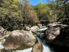 -大鄣山卧龙谷景区