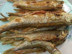 炸青林子鱼-庆岭迎宾园正宗活鱼馆