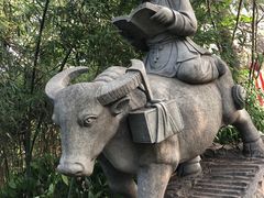 -九华山公园