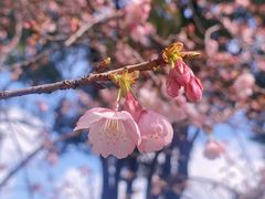 -静安雕塑公园