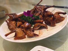 乳鸽-金华悦国际酒店·金福大酒楼