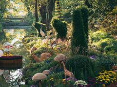 -上海共青森林公园