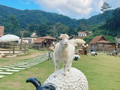 -龙岩森林水乡景区