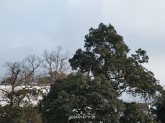 -青城山