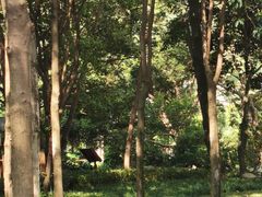 -成都市活水公园