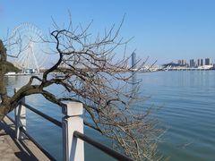 -无锡蠡湖国家湿地公园-蠡园