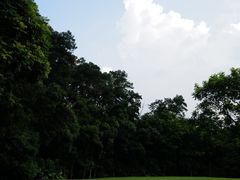 -深圳仙湖植物园