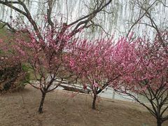 -南翠屏公园
