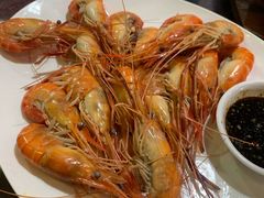 -东鸽皇(奥园·中环广场店)