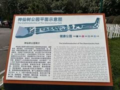 -神仙树公园
