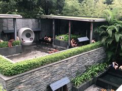 -明谷行馆·温泉
