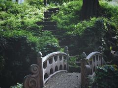 -叶家花园