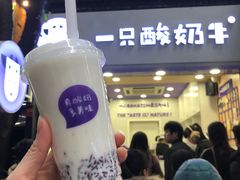 -一只酸奶牛(八一路店)