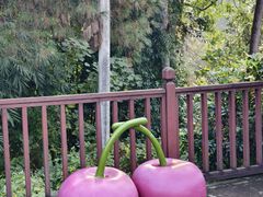 -樱桃山旅游景区