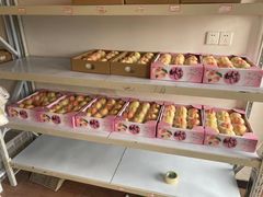 -南汇新场正宗水蜜桃采摘