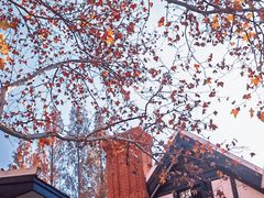 -一尺花园(安和花园店)