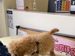 -萌兽医馆·犬猫专科·眼科中心·宠物医院(朝阳门分院)