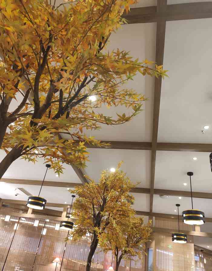 映月梧桐(泛海店)-"年前去他家吃的,很早以前就团购了他家的套.