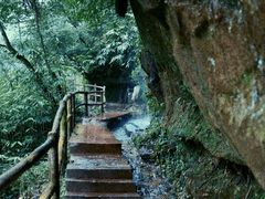 -碧峰峡风景区