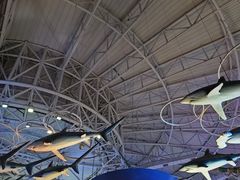 -烟台海昌鲸鲨海洋公园