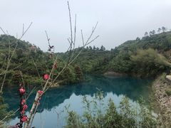 -军营村