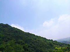 -杭州半山国家森林公园