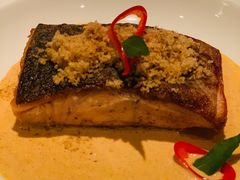 烤三文鱼-广州四季酒店·佰鲜汇·现代法餐