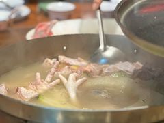 -南海鸽天下(肇庆店)