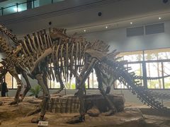 -自贡恐龙博物馆