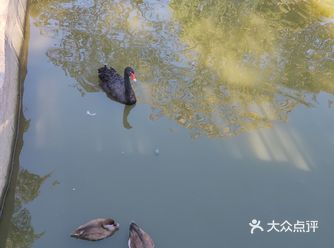 「和平公园」 带小朋友的话我觉得3号门进去最方便