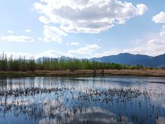 -野鸭湖国家湿地公园