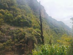 -天台山景区