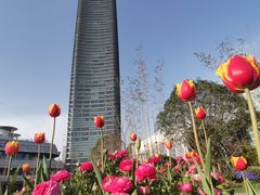 -北外滩滨江绿地