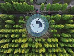 -黄海国家森林公园