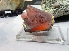 -湖南省地质博物馆