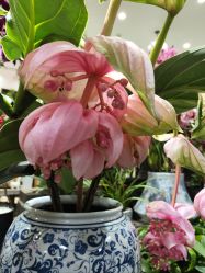 -今日陶艺(富力广场店)