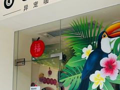 -立德异宠动物医院.兔鸟爬.内窥镜(天河店)
