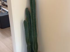 -乐刻瑜伽·普拉提·小瑜荚YogaPod(滨江银泰店)