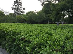 -范蠡湖公园