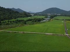 -艾米稻香小镇