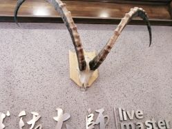 -生活大师造型馆